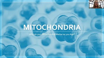 How PNOE Metabolism Testing  Unlock Your Ideal Health & Performance Plan