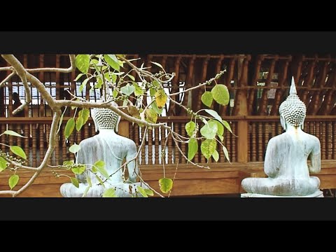 Видео: Seema Malaka Temple, Colombo, Sri Lanka