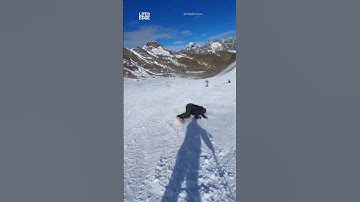 Awesome Snowboard Tricks 🏂 #shorts #snowboarding #awesome