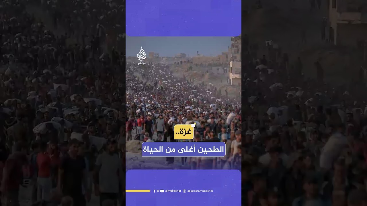 فلسطينيون يحصلون على أكياس من الطحين بعد دخول شاحنات المساعدات عبر منطقة زيكيم شمال غزة
