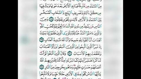 تصحيح تلاوة واستخراج احكام التجويد الوجه رقم 25