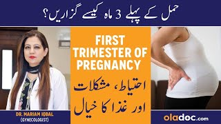 Pregnancy First Trimester In Urdu - Hamal Ke Pehle 3 Months - Pregnancy Week By Week - 1st Trimester