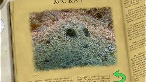 (Gameplay - 692) Finding Nemo (Disc 2) (DVD Menu - 20)