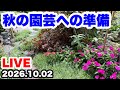 ◆秋の園芸へシフトしていきます🪴