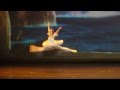 Anastasia Matvienko - Le Corsaire - Variation &quot;Gamzatti&quot;