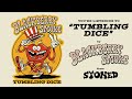 Blackberry Smoke - Tumbling Dice (Official Audio)