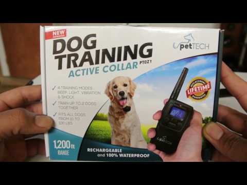 pettech-training-collar