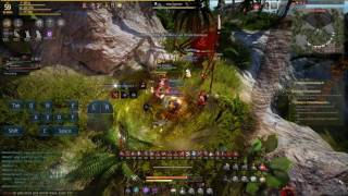 Bdo Ninjadk Farming Pirates Jungle Rotation Extend.