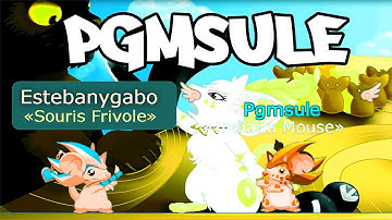 TRANSFORMICE - Pgmsule