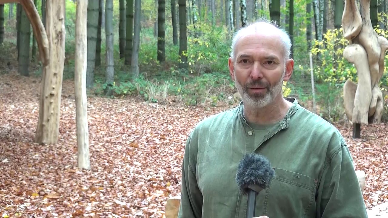 Kamenz: Neuer FriedWald - LAUSITZWELLE