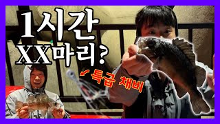 이 채비를 볼락낚시에? 도보권 볼락 대박 조황