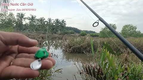 Đến Điểm Câu Lure quá đẹp để kiểm tra con mồi giả, kết quả tuyệt vời.