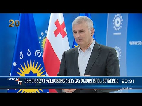 ევროპული რეკომენდაცია და ოპოზიციის პოზიცია