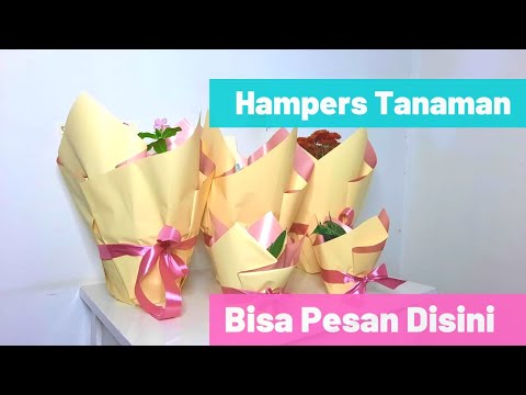 Hampers Tanaman di Bandung - Bisa Pesan Disini