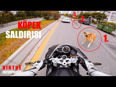Gözlemler /// Observations /// Triumph Daytona R Gözlemler /// Observations /// Triumph Daytona R