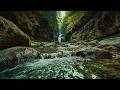 Peaceful Forest River & Waterfall Sounds 🌿 Deep Relaxation, Sleep, Focus & Stress Relief