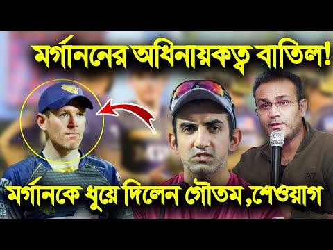 ভিডিও: কোন মর্গান কিনতে হবে?