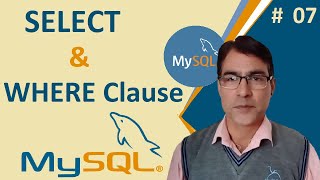 MySQL Select With Where Clause | PHP tutorial for beginners - 100 | MySQL in PHP