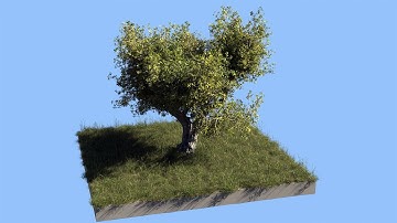 Сцена с деревом за 5 минут в Blender