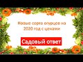 Новые сорта огурцов на 2020 год с ценами