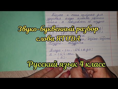 Звуко-буквенный разбор слова ягода