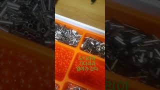 #원투낚시 #도다리낚시 #채비방법 1단채비 #fishing  #초보낚시  나 이번엔잡아야되거든~