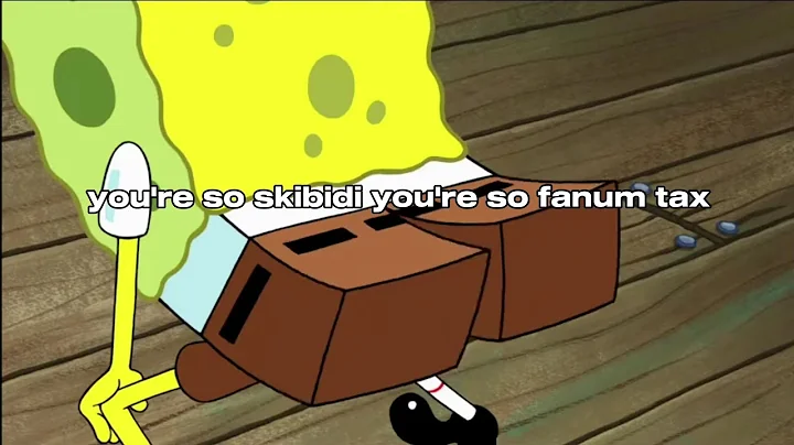 you're so skibidi lyric video