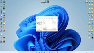 clearing cache fivem