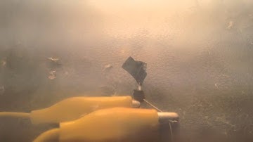 Exploding Electrolytic Capacitor with Reverse Voltage