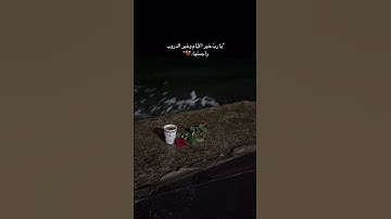 اللَّهُ وَلِيُّ الَّذِينَ آمَنُوا يُخْرِجُهُم مِّنَ الظُّلُمَاتِ إِلَى النُّورِ ۖ |سورة البقرة.