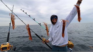 Catching LIVE SQUID for GIANT Blue Fin Tuna (squid catch clean cook)