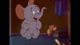 You are never old for tom and jerry