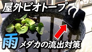 超簡単な雨対策でビオトープから完璧にメダカの流出を防ぐ方法【初心者必見】