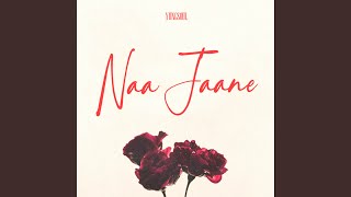 Naa Jaane