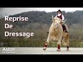 Comment aston le taureau droule une reprise de dressage 