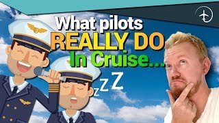 What Pilots REALLY DO in Cruise?!