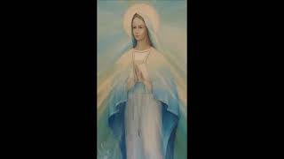 Zjavenie Panny Márie v Litmanovej, posolstvá (1990-1995)