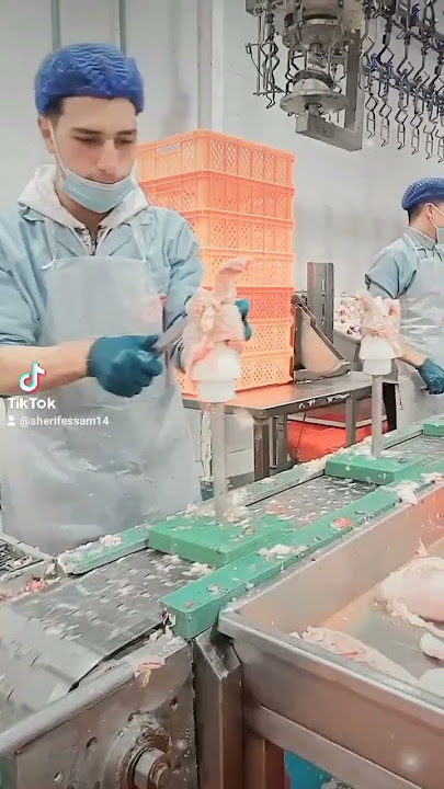 العين علينا بس الرب حارس🤫