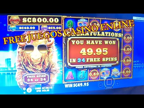 ¿Cómo ganar la lotería? Algunos secretos revelados por ganadores | Tropicana Colombia