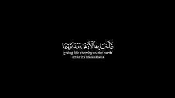 كرومة شاشة سوداء بصوت الشيخ #احمد_النفيس #سورة_البقرة