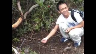 Smk Tamparuli 2005 - Mount Kinabalu