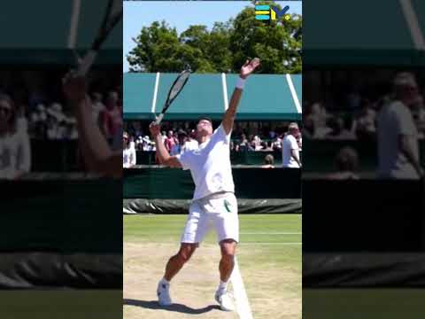 Raonic Serve in