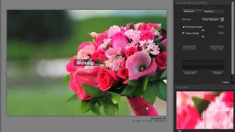 Dfine Multiple Image Editing in Aperture