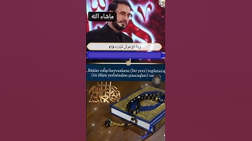 طفل صغير يجيد تجويد القرآن الكريم في مسابقة التجويد صوت جميل مشاء الله#قناة_ayoub_fnittou