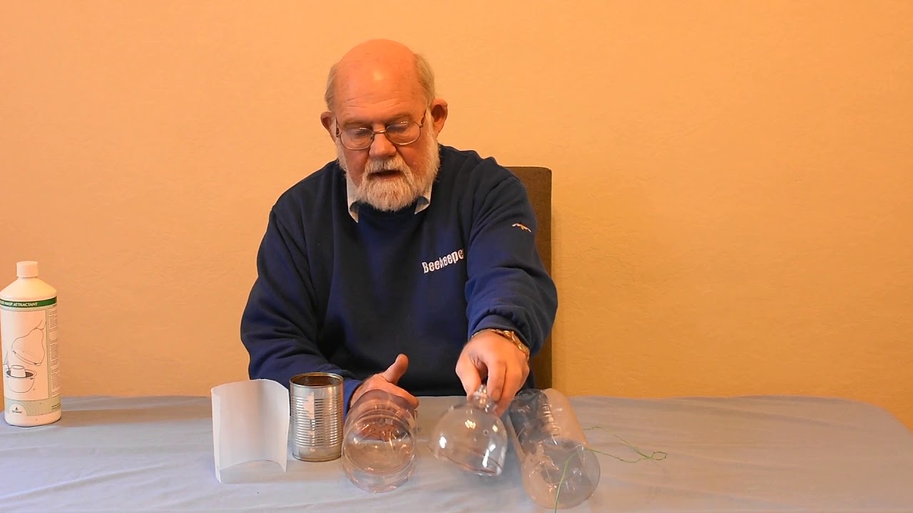 An Asian Hornet Trap