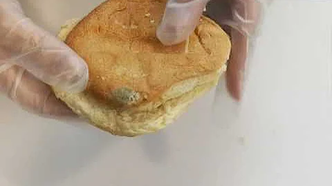 2 Foodborne Microorganisms and Allergens 20 min 50 sec