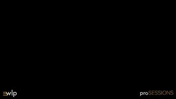 proSESSIONS with Brian Vibberts and Antelope Audio