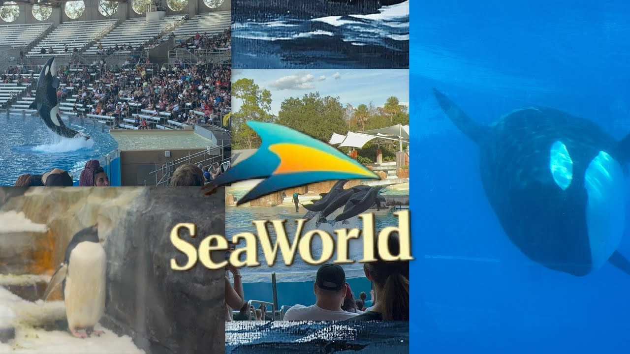 SeaWorld Orlando 8/1/26