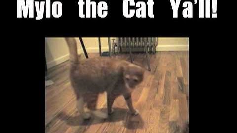 Shortest Video on Youtube Part 9