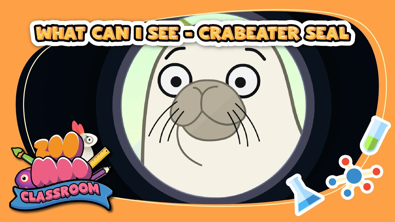 What can you see? ⁨@ZooMoo⁩  | #kidslearning #kidsgames